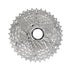 Pacha / Cassette Shimano CS-HG50-10 Vel 11-36