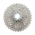 Pacha / Cassette Shimano Claris CS-HG50-8 Vel